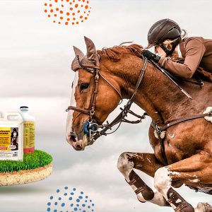 علاج سباقات الخيل والهجن